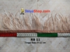 RB 11 medium.jpg